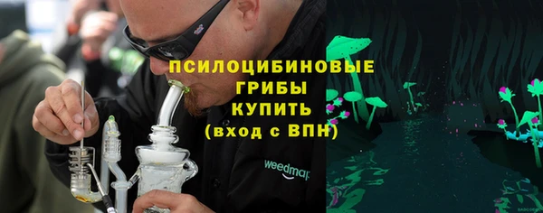 ПСИЛОЦИБИНОВЫЕ ГРИБЫ Абдулино