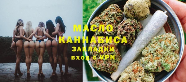 Альфа ПВП Пересвет