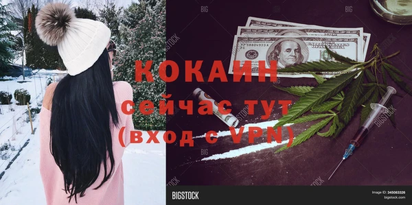 амф Пестово