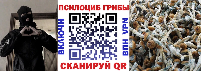 Галлюциногенные грибы ЛСД Зеленокумск